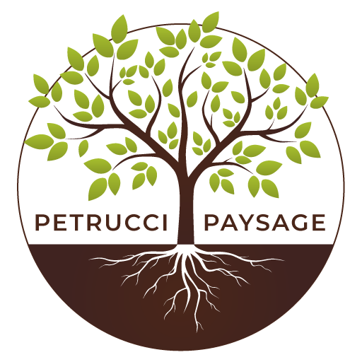 Petrucci Paysage