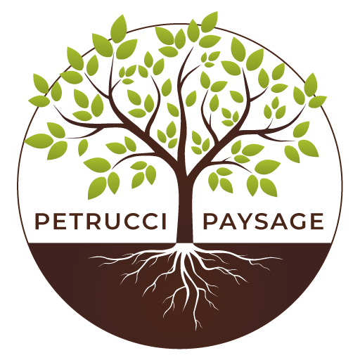 Logo petruci paysage blanc